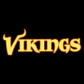 Minnesota Vikings 04