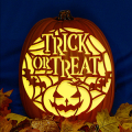 Trick or Treat Pumpkin Bats CO
