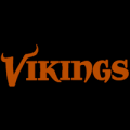 Minnesota Vikings 05