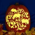 Pumpkins and Skulls CO