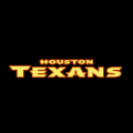 Houston Texans 04