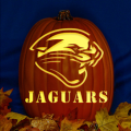 Jacksonville Jaguars 01 CO