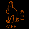 Rabbit or Duck