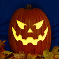 Jack O 242 CO
