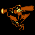 Baltimore Orioles 14