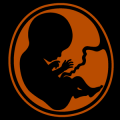Fetus in the Womb