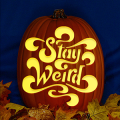 Stay Weird CO