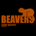 Beavers Dam Good