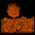 Linus Pumpkin Patch 02
