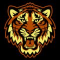 Detroit Tigers 10