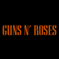 Guns N Roses 09