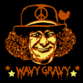 Wavy Gravy