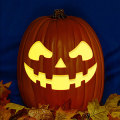 Jack O 243 CO