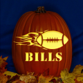 Buffalo Bills 07 CO