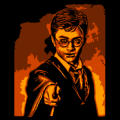 Harry Potter 4C