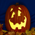Jack O 226 CO