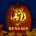 Cincinnati Bengals 02 CO