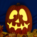 Jack O 234 CO
