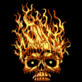 Flamin Skull