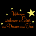 When You Wish Upon a Star