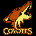 Phoenix Coyotes 04