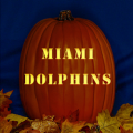 Miami Dolphins 03 CO