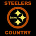 Pittsburgh Steelers 08