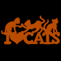 I Love Cats 01