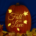 Fall in Love CO
