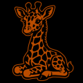 Baby Giraffe