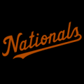 Washington Nationals 22