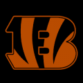 Cincinnati Bengals 03