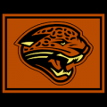 Jacksonville Jaguars 06