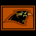 Carolina Panthers 03