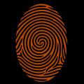 Fingerprint 03