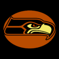 Seattle Seahawks 14