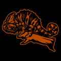 Chameleon 01