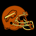 Buffalo Bills 07