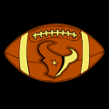 Houston Texans 07