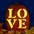 Love CO