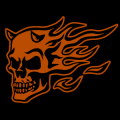 Devil Flaming Skull