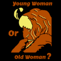Young Or Old Woman Illusion