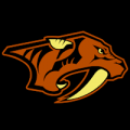 Nashville Predators 02