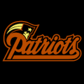 New England Patriots 02