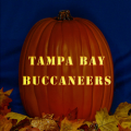 Tampa Bay Buccaneers 03 CO