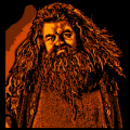 Hagrid 4C