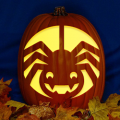 Silly Spider CO
