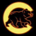 Chicago Cubs 06