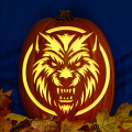 Wolf Head CO