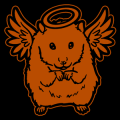 Angel Hamster